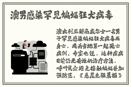 日本一区专线