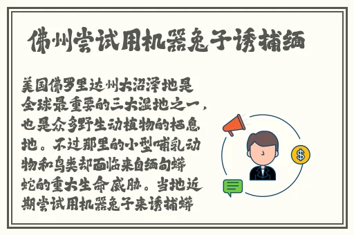 暴躁妹妹csgo
